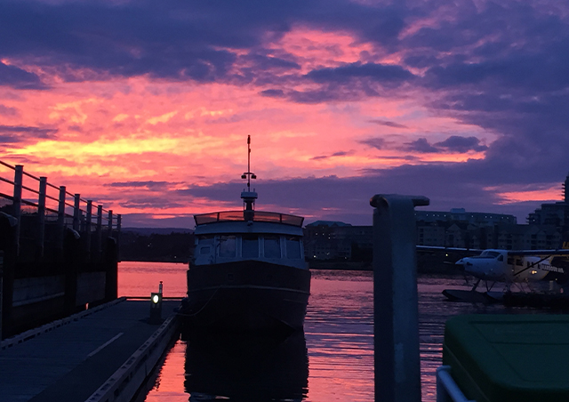 Our reward after a week and a half of long sampling days in Victoria Harbour, Canada was this beautiful sunset behind our sampling vessel. Epic.